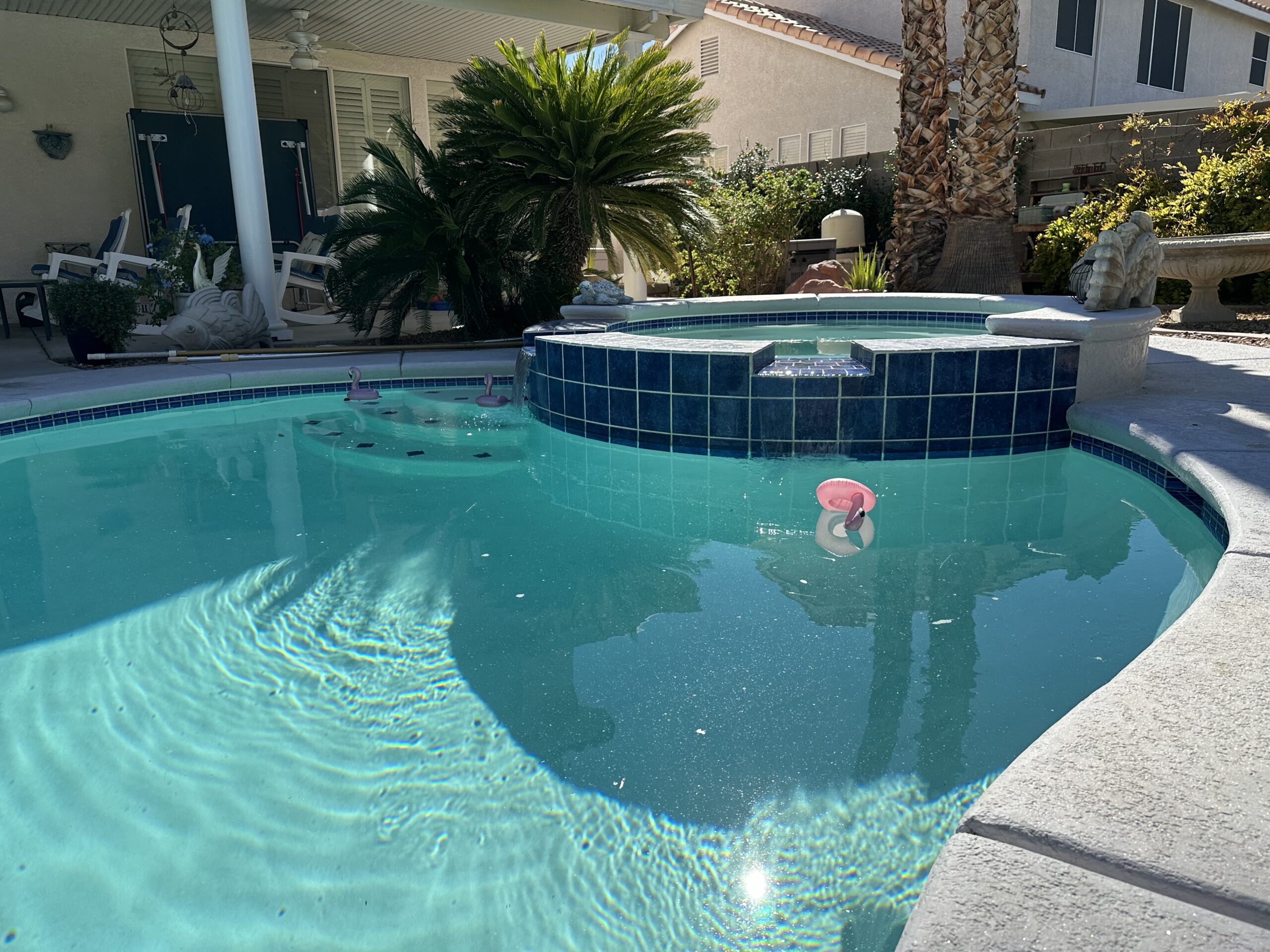 Pool Acid Wash Service